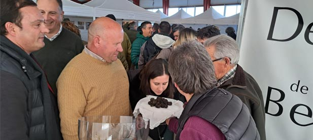 Benassal celebra este fin la vigésimo primera edición de un evento que moviliza en la localidad a productores, empresarios y autónomos dedicados a la producción de este hongo.