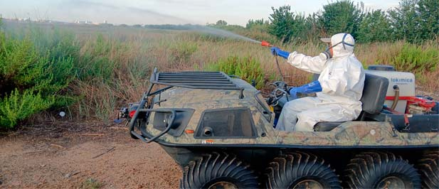 El servicio de control de mosquitos recomienda a la población evitar acumulaciones de agua en espacios privados y mantener limpias las piscinas y balsas.