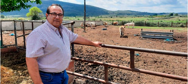 La Generalitat Valenciana concede ayudas para controlar 1.085 hectáreas de vegetación natural mediante consumo de la biomasa combustible por parte del ganado.